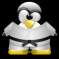 /album/photo-gallery-photogallery/hardwiigamer-tux-martial-arts-3588-png/